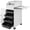 White, variant on VEVOR Salon SPA Beauty Hairdressing Cart Storage Trolley with 4 Drawers Rolling Wheels Lockable 2 Keys w/Hairdryer Holder Space-saving Side Tray