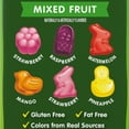 thumbnail image 3 of Black Forest Spring Fruit Flavored Snacks, 17.6 oz Box, 22 Count, Box, 3 of 7