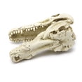 thumbnail image 4 of JUNTEX Aquarium Resin Decoration Alligator Skull Decor Hideouts Betta Cave Fish Tank Accessories for Hermit Crab Guppy, 4 of 6