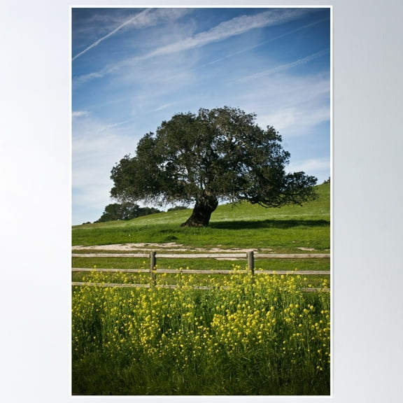 Mustard Tree Poster Wall Art, Modern Wall Decor, 8x12 UNFRAMED