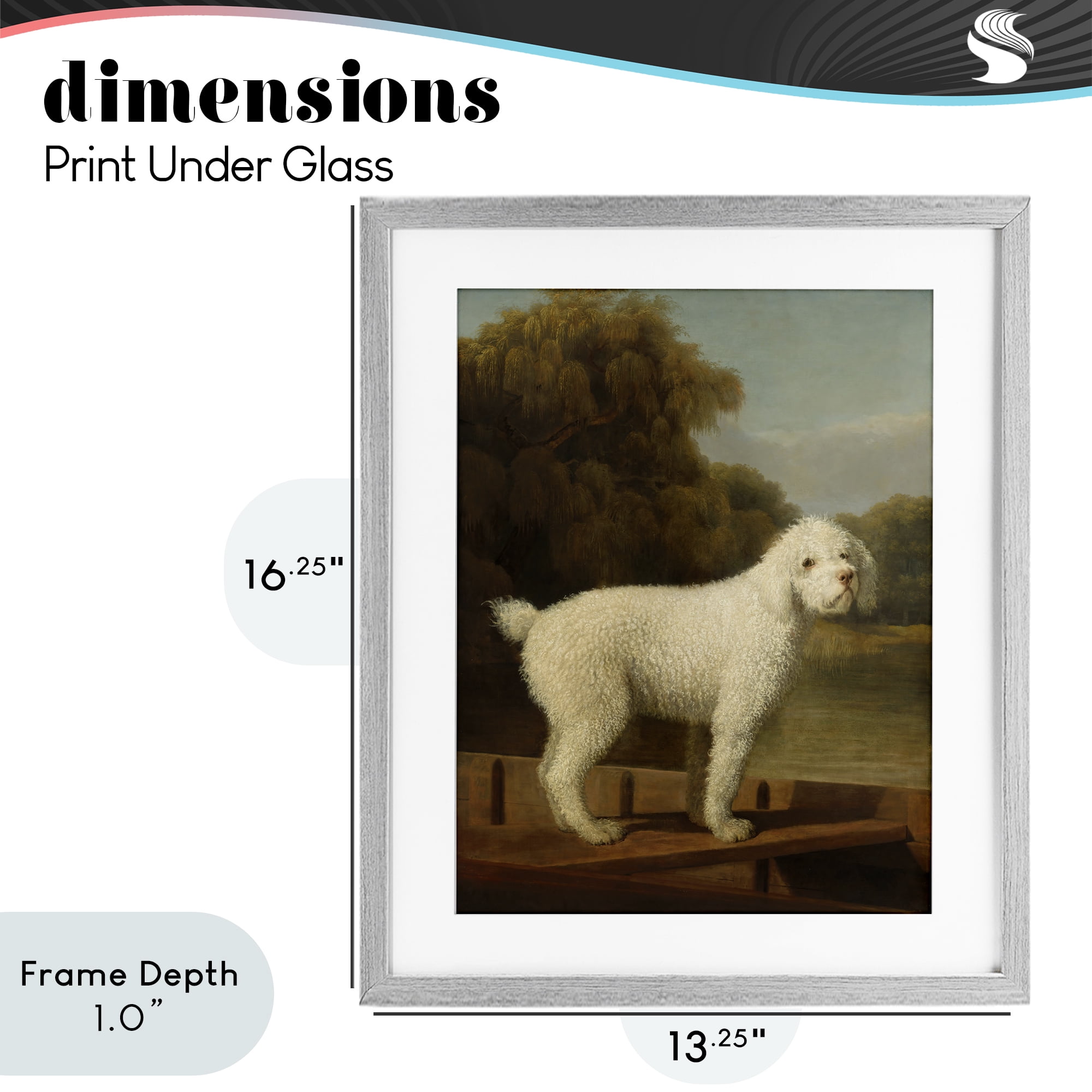 Stupell Industries White Poodle in a Punt Gray Framed Print Under Glass, design by Tina LeCour
