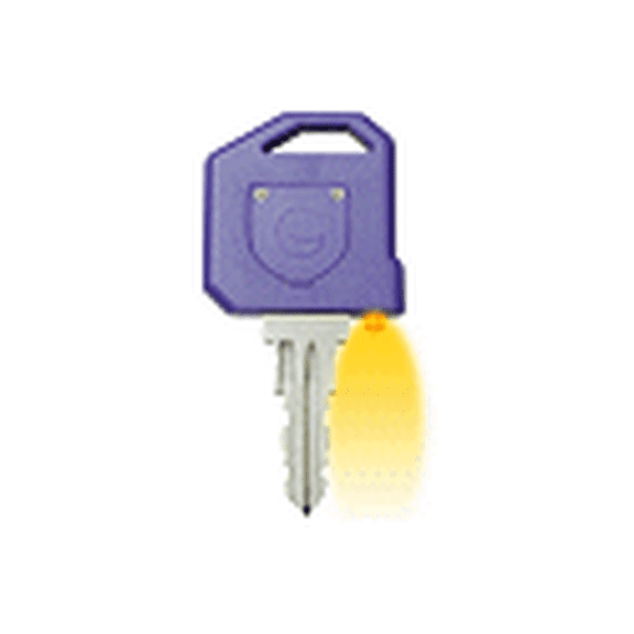 RV Replacement Key for Global Link G317LED
