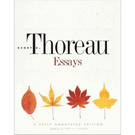 Essays On Walmart Walmart Low Wages Essay Black White And In Color Essays On Walmart Essay On Walmart Goes South Expert Essay Writers Night Book Essay Choice And