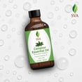 thumbnail image 3 of SVA Camphor Essential Oil – 4 Fl Oz – 100% Natural Camphor Oil - for Diffuser, Hair Care, Face, Skin Care, Aromatherapy, Scalp and Body Massage, Soap and Candle Making – with Dropper, 3 of 9