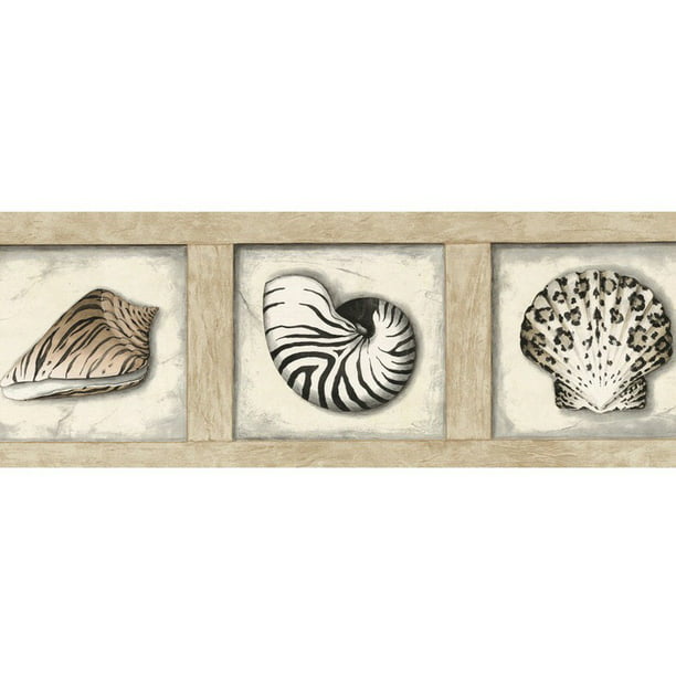 879359 Framed Seashells Wallpaper Border 51646220 