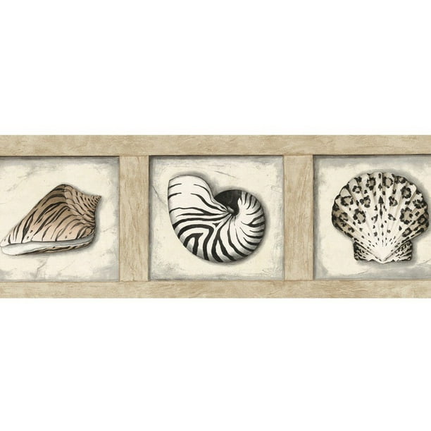 879359 Framed Seashells Wallpaper Border 51646220 879359 Framed Seashells Wallpaper Border 51646220