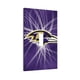 thumbnail image 2 of Panel de interruptores de pared con marco romano de cuero individual Ravens Switching Lights, interruptor de luz individual, doble o con tirador, 2 of 8