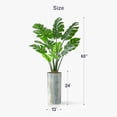 thumbnail image 5 of Artificial Tree in Modern Planter, Fake Monstera Silk Tree for Indoor and Outdoor Home Decoration - 65" Overall Tall (Plant Pot Plus Tree), 5 of 5