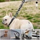 thumbnail image 4 of Multifunctional Dog Leash with Iron Chain for Traction, Thick Rope Harness Accessories for Dogs, 4 of 5