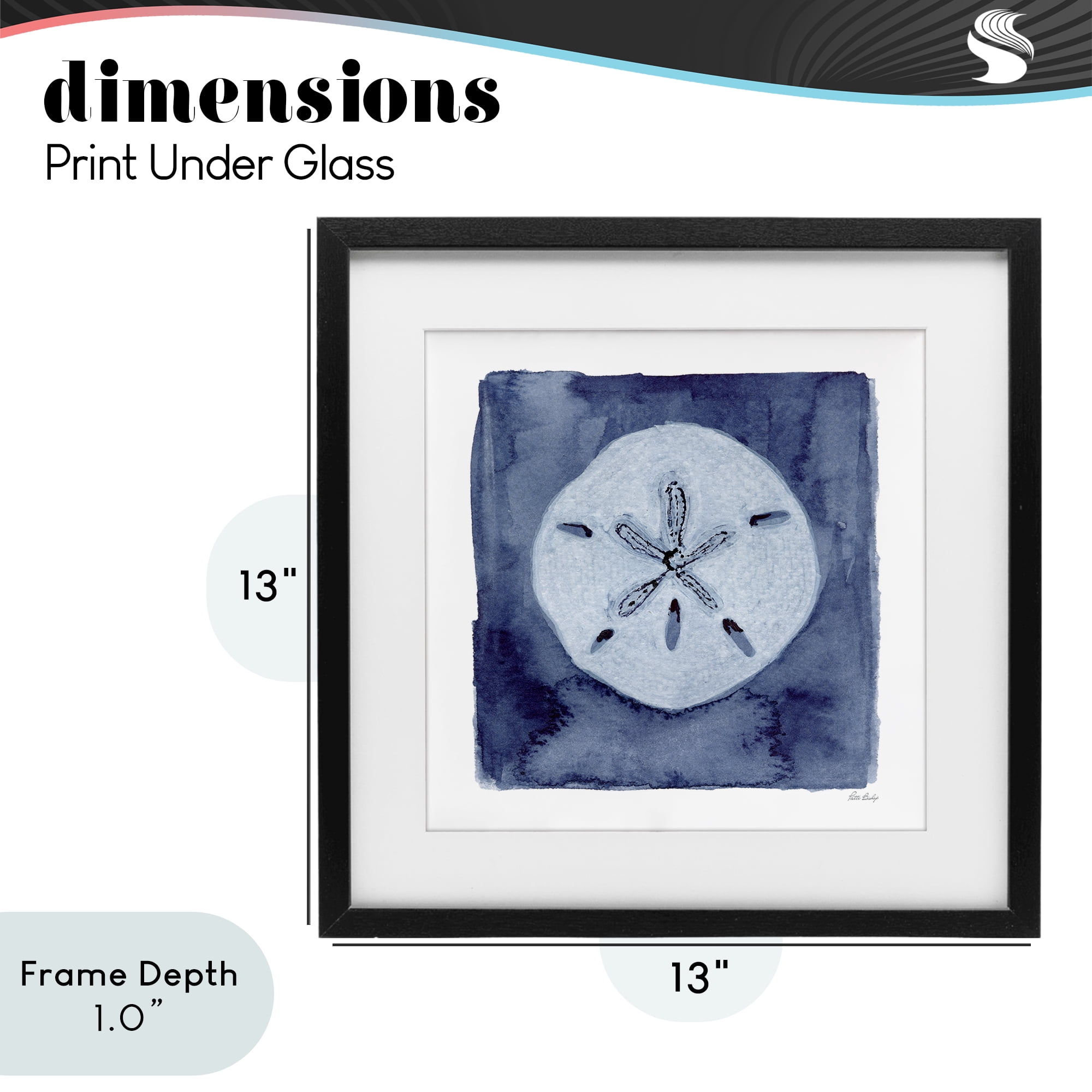 Stupell Industries White Sand Dollar on Indigo Black Framed Print Under Glass, design by Patti Bishop