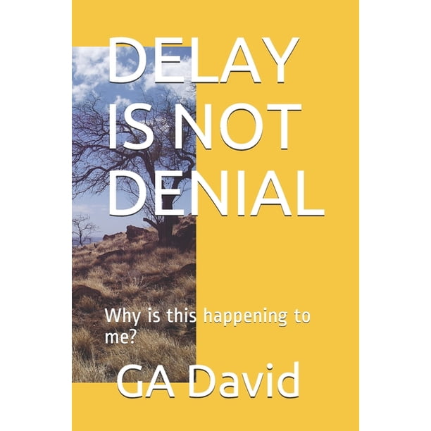 Delay Is Not Denial Paperback Walmart Walmart