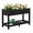 Black, variant on SERWALL Raised Garden Bed