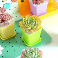 thumbnail image 3 of 10 Uds. De macetas de plástico coloridas, macetas cuadradas pequeñas para plantas, jardinería, interior grueso, Mini maceta para vivero, contenedor, 3 of 5