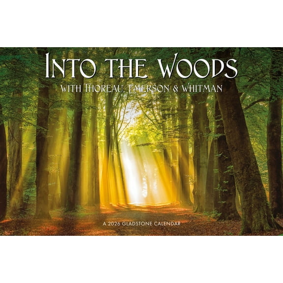 Into the Woods: 18x12 Deluxe Wall, (Paperback)