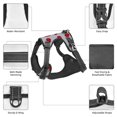 thumbnail image 6 of Fuzoiu Ladybug Print Reflective Dog Harness,Adjustable, Breathable Pet Vest,Dog Harness No Pull,No Choke Pet Vest for Small, Medium, and Large Dogs-Small, 6 of 6