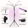 thumbnail image 2 of DAYBETTER Grow Light for Indoor Plants, 4 Heads Full Spectrum Plant Light with Adjustable Stand, 3 Light Modes Grow Lamp with Auto Timer & 10 Dimmable Brightness, 2 of 7