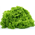 thumbnail image 5 of Fresh Green Leaf Lettuce, Each, 5 of 6