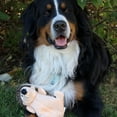 thumbnail image 3 of Juguete para Perro SmartPetLove Snuggle Puppy Grande de Peluche con Sonido Crujiente, 3 of 6