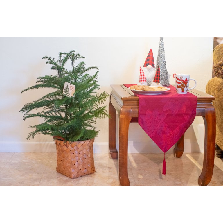 pine 5個 COSCO SmartFold Portable Workbench / Folding Utility Table