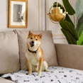 thumbnail image 5 of Reusable Leak Proof Pet Training Mat Washable Bed Pad for Dogs and Cats Indoor Outdoor Use, 5 of 5