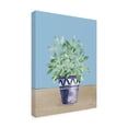 thumbnail image 2 of Beth Grove 'Herb Garden V White Navy' Canvas Art, 2 of 4