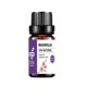 thumbnail image 2 of Aceite Esencial UVA NATURAL Magnolia aromaterapia, 2 of 6