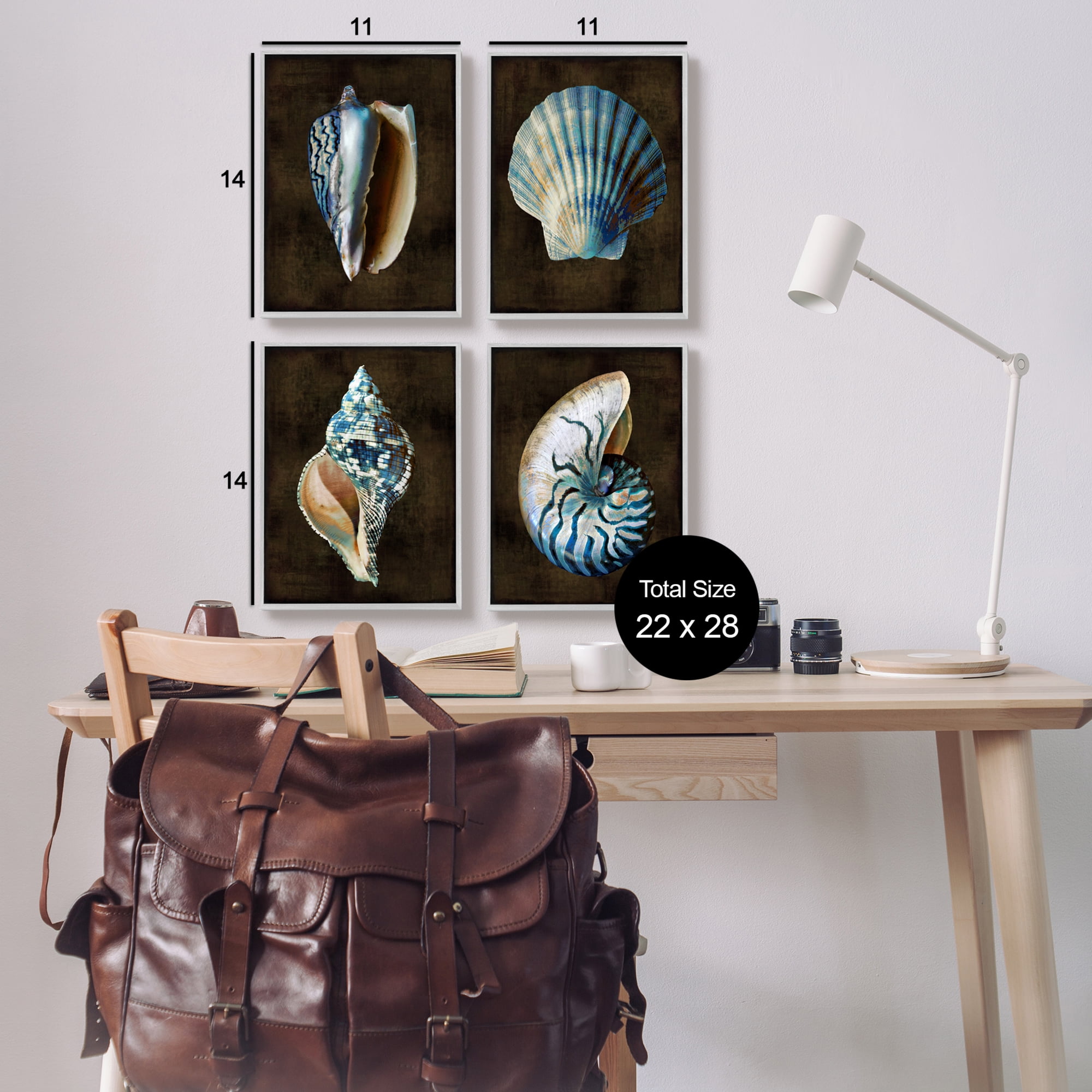 Stupell Industries Dark Maritime Seashells Animals & Insects Painting Gray Framed Art Print Wall Art, 11 x 14, Set of 4