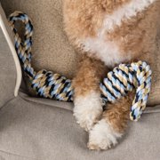 Harry Barker Double Tug Rope Toy, Multi-color