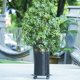 thumbnail image 4 of Scienceny Carro multifuncional de Metal para plantas, para una fácil movilidad de las plantas, maceta, rueda redonda estable Jardín y Patio diámetro30cm, 4 of 6