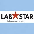thumbnail image 3 of CafePress - Lab Star T Shirt - Men's Classic Graphic T-Shirt, 3 of 4