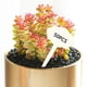 thumbnail image 5 of 50/Set Etiquetas para plantas Marcadores de madera para macetas Etiquetas con nombre Adornos Nube, 5 of 9