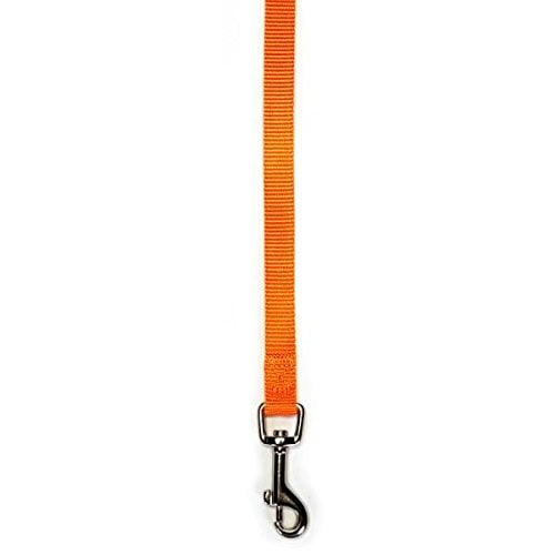 Zack & Zoey Brite Color Nylon Leads for Dogs Choose from 11 Colors 3 Sizes Dog Leash Lead (Large - Orange)