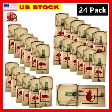 24 Pack Wood Mouse Traps Rat Mice Killer Snap Trap Power Rodent Small Pest Trap
