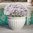 thumbnail image 4 of Plantas artificiales resistentes a los rayos ultravioleta, flores de seda artificial al aire libre, patios, ventanas, cajas colgantes, 20 paquetes de flores artificiales, (blanco), 4 of 5