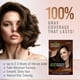 thumbnail image 4 of Herbishh Dark Brown Color Shampoo for Gray Hair, Hair Dye Shampoo 3 in 1, 100% Grey Coverage for Men & Women, Long-lasting & Travel-friendly, Ammonia-free, 30 ml (Pack of 10), 4 of 5