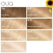 Garnier Olia Oil Powered Adult Hair Bleach Kit, Blonde Extreme