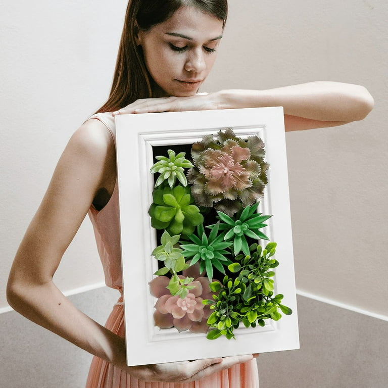 Succulent 2024 wall art