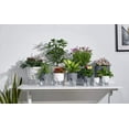 thumbnail image 6 of Visland Self Watering Pots for Indoor Plants, Flower Pot Modern Decorative Plastic Planter with Water Storage for All House Plants, Flowers, Herbs, 6 of 8