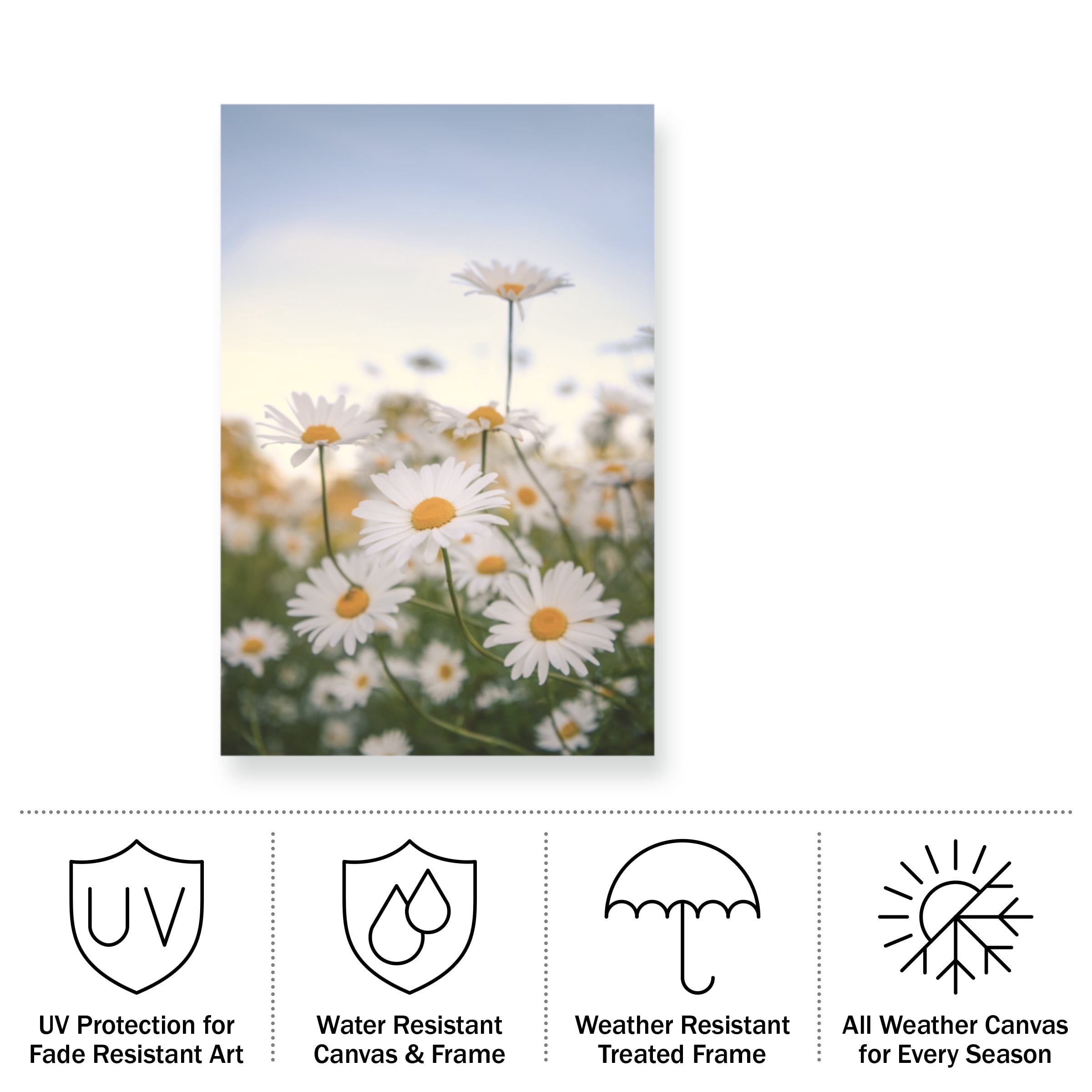 Philippe Sainte-Laudy 'Fields of Marguerite' Outdoor Canvas