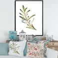 thumbnail image 2 of Designart 'Leaf Rosemary Branch on White' Traditional Framed Canvas Wall Art Print, 2 of 5