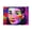 Black zipper, variant on Audrey Hepburn Purse - Captivating Artistry by Henry Matisse!, Accessory Pouch