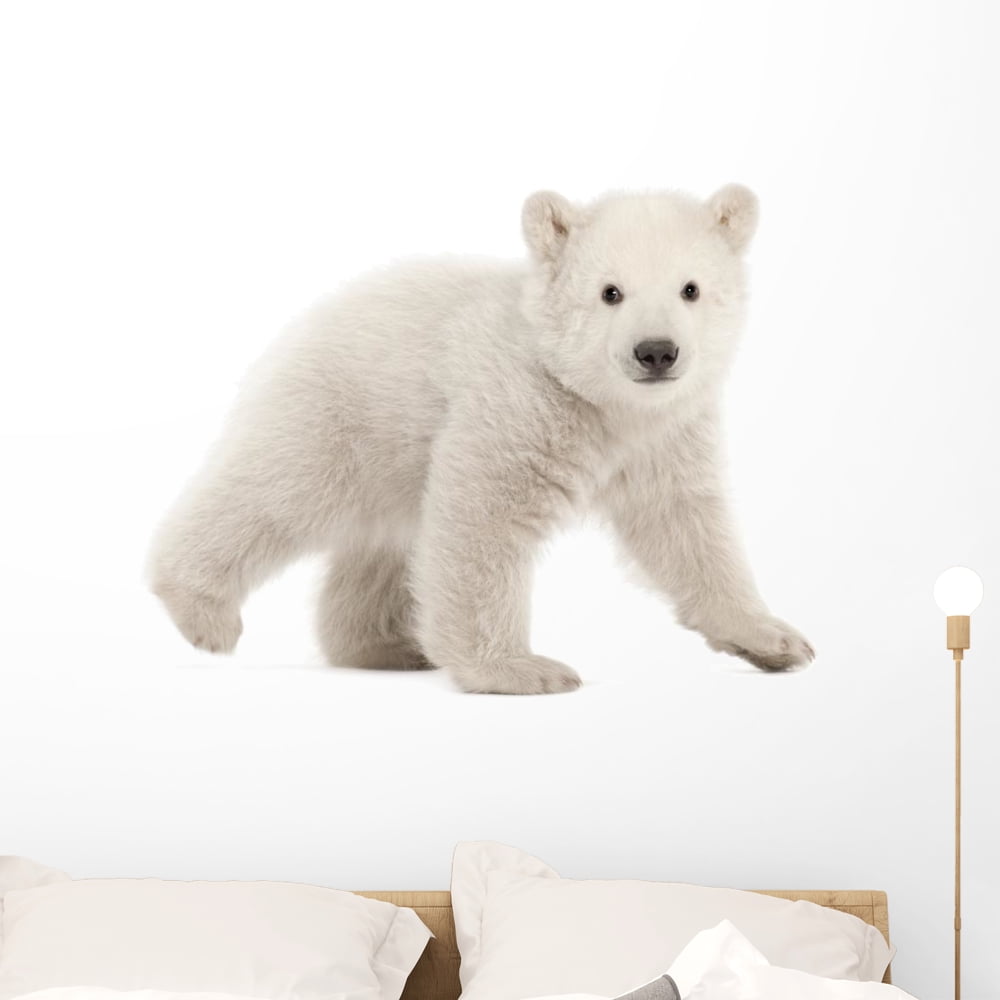 Wallmonkeys Polar Bear Cub Wall Decal - Peel & Stick, 18" W X 13" H, Removable
