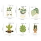 thumbnail image 4 of Minnieouse Broches de cactus de dibujos animados, joyería suculenta, alfileres de solapa esmaltados, insignias para mochila, adornos para abrigo de ropa Accesorios de disfraces XZ3278 Minnieouse AP010032-01, 4 of 6