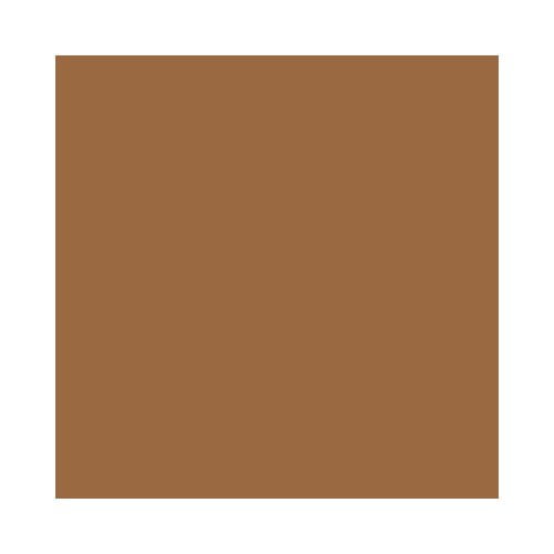 LIQUITEX / COLART 4450330 LIQUITEX ART SPRAY 400ML RAW SIENNA