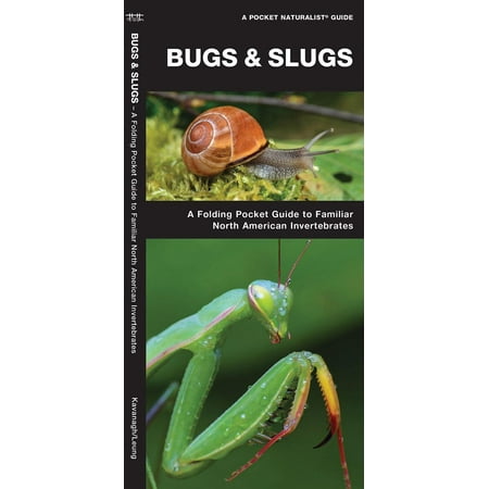 Pocket Naturalist Guide Bugs Amp Slugs A Folding Pocket