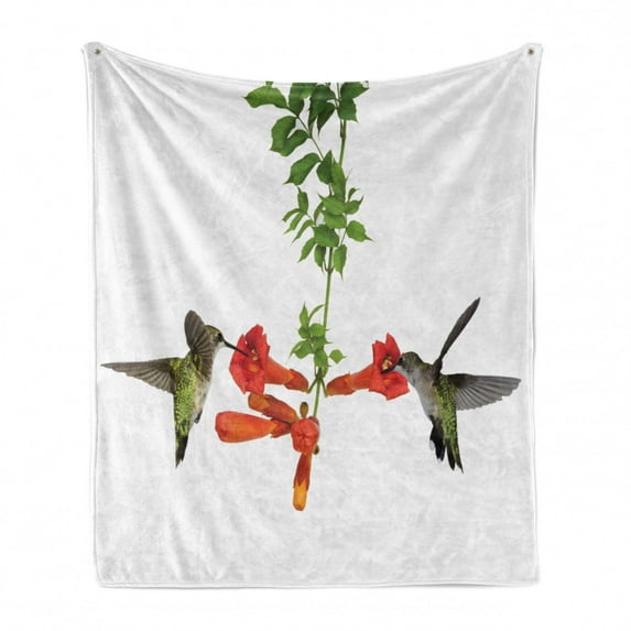 Hummingbirds Soft Flannel Fleece Throw Blanket, 2 Hummingbirds Sipping Nectar from a Trumpet Vine Blossoms Summertime, Cozy Plush for Indoor and Outdoor Use, 50" x 70", Red Black Green, by Ambesonne