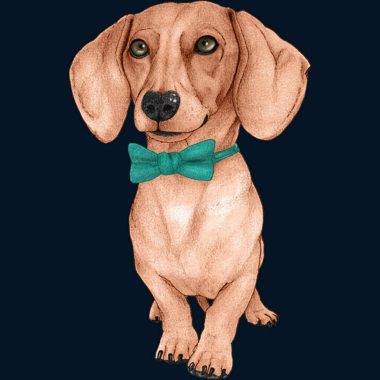 Dachshund The Wiener Dog Navy Blue Graphic Crew Neck Sweatshirt Design By Humans 2XL