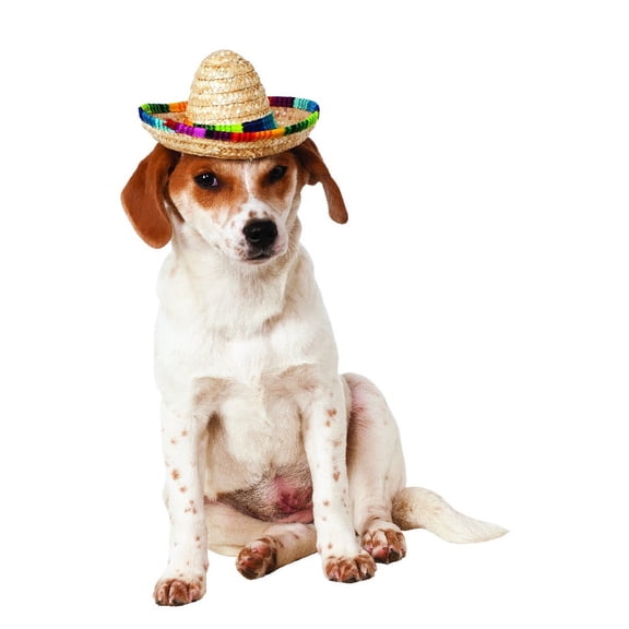 Rubies Pet Shop Boutique Pet Halloween Costume Accessory Multi-color Sombrero Hat For Dog or Cat