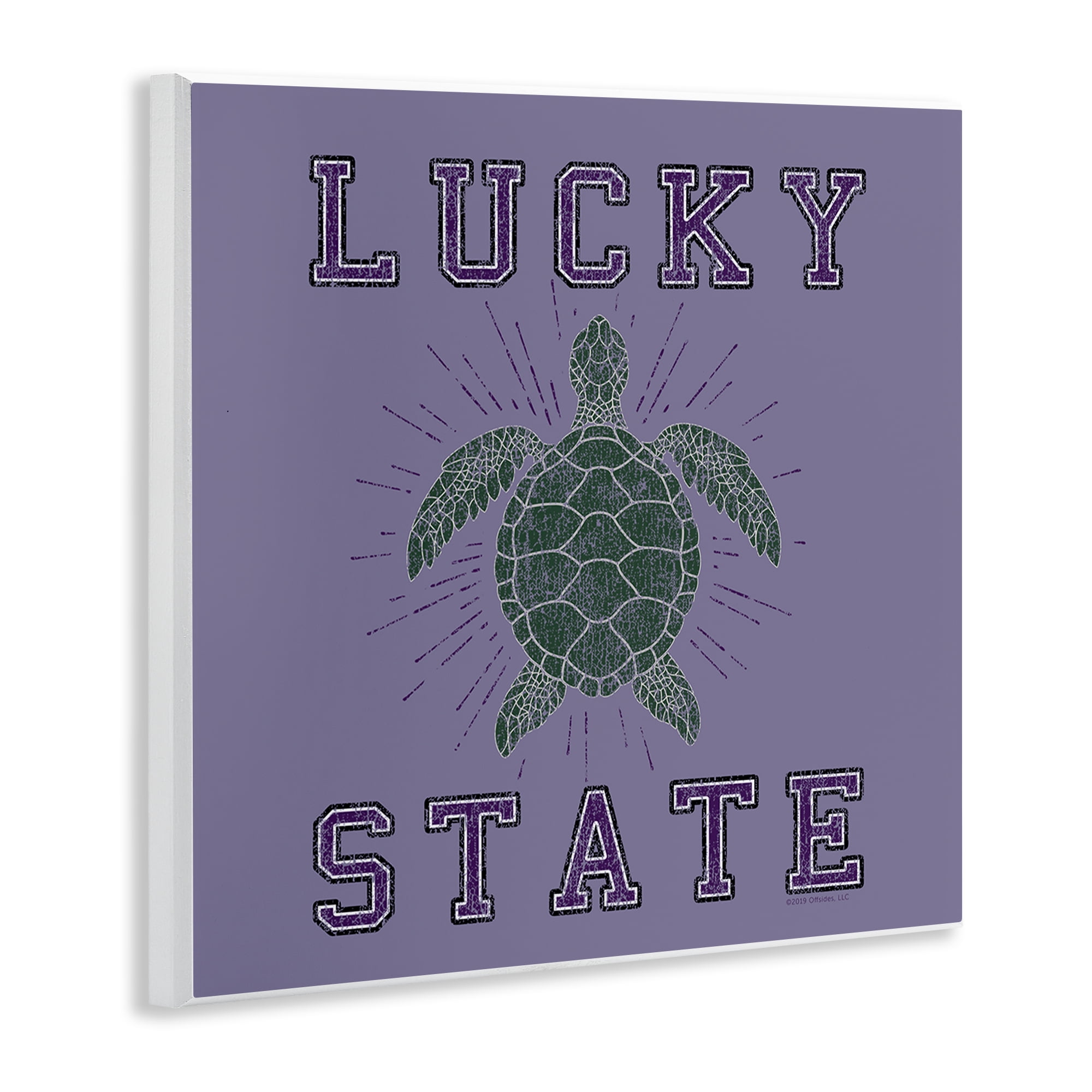 Stupell Industries Lucky Sea Turtle State Animals Painting Unframed Art Print Wall Art, 12 x 12