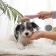 thumbnail image 3 of Pet brush dog cat brush clipper beauty self-cleaning smooth comb, 3 of 3